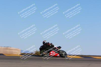 media/Mar-12-2022-SoCal Trackdays (Sat) [[152081554b]]/Turn 9 Side (145pm)/